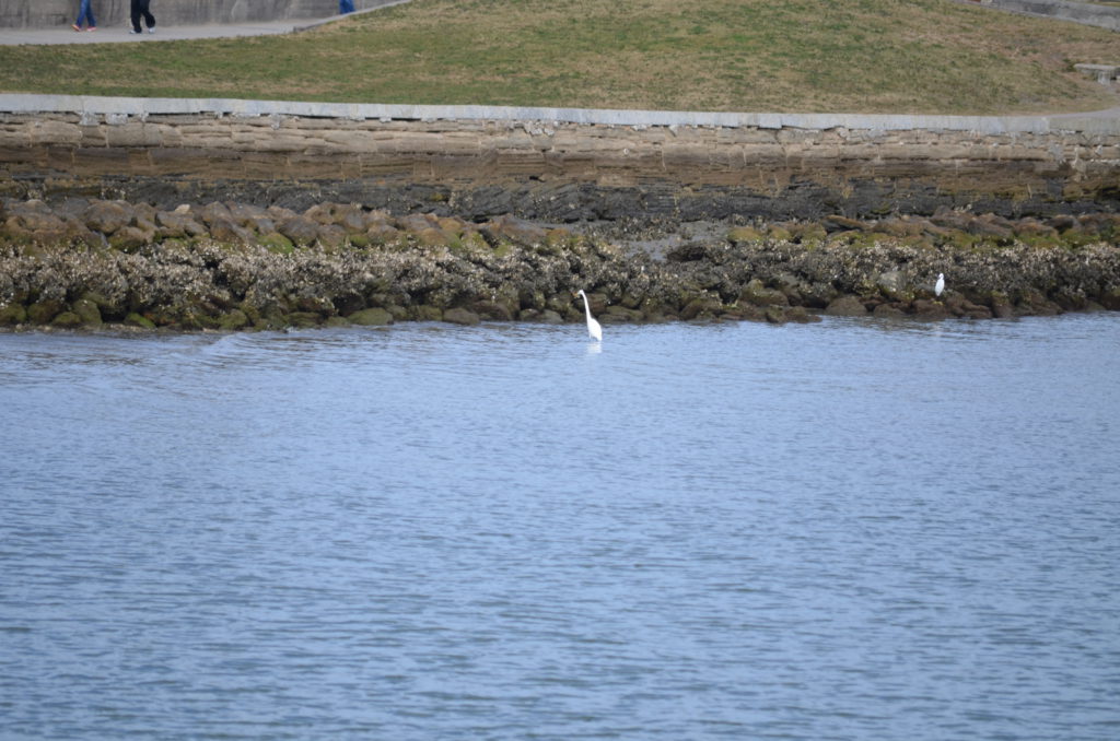 DSC_7229.JPG
