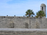 DSC_7231.JPG