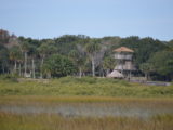 DSC_7238.JPG