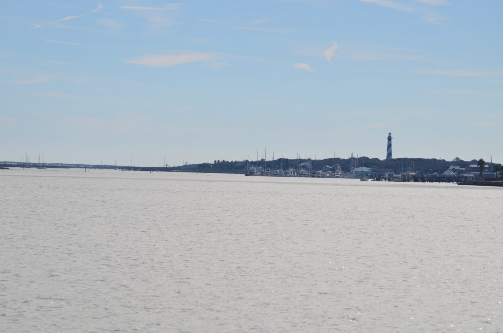 DSC_7245.JPG