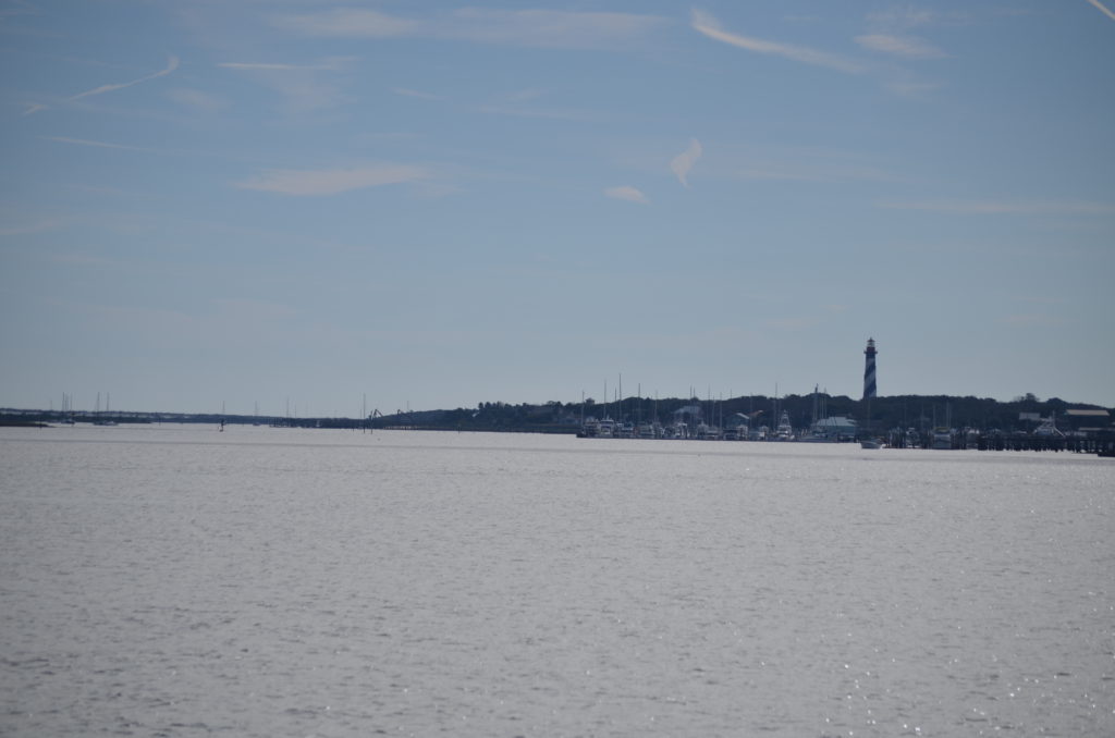 DSC_7247.JPG
