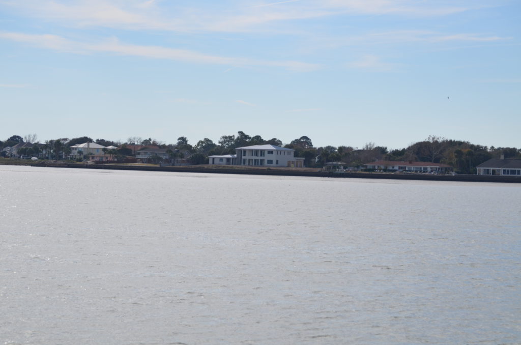 DSC_7250.JPG