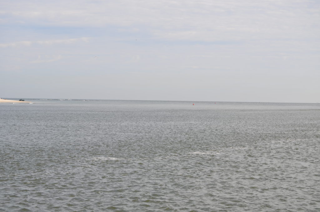 DSC_7251.JPG