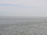 DSC_7251.JPG