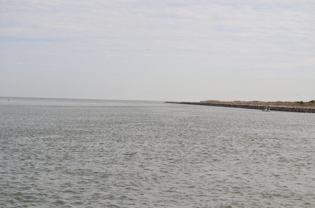 DSC_7252.JPG