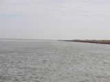 DSC_7252.JPG