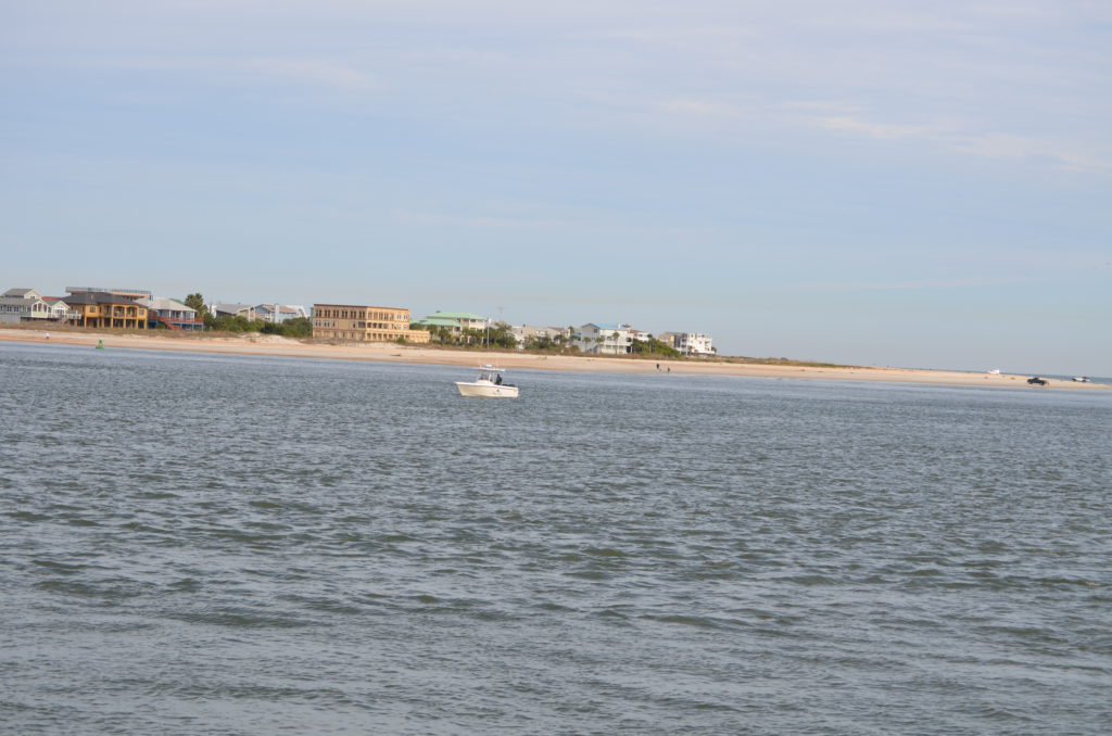 DSC_7253.JPG