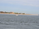 DSC_7253.JPG