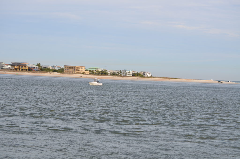 DSC_7254.JPG