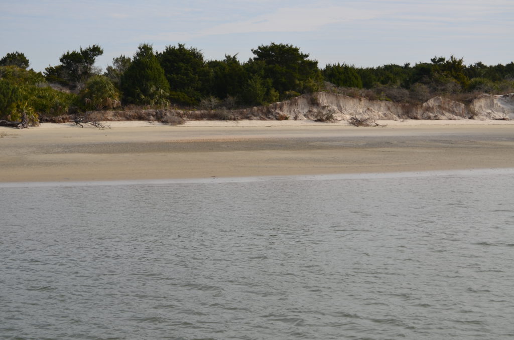 DSC_7257.JPG