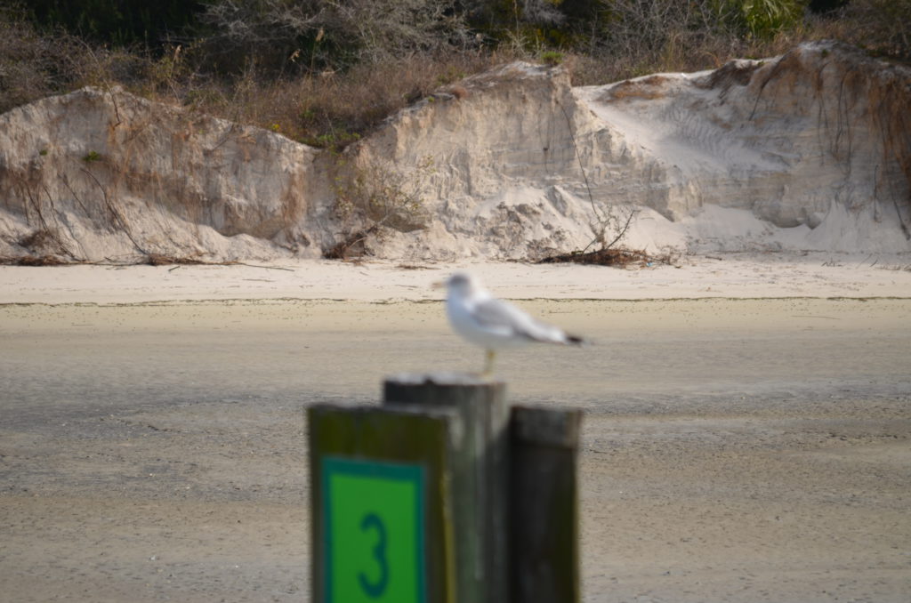 DSC_7258.JPG