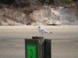 DSC_7258.JPG