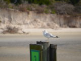 DSC_7259.JPG