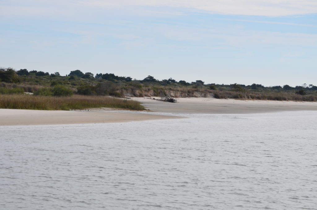 DSC_7261.JPG
