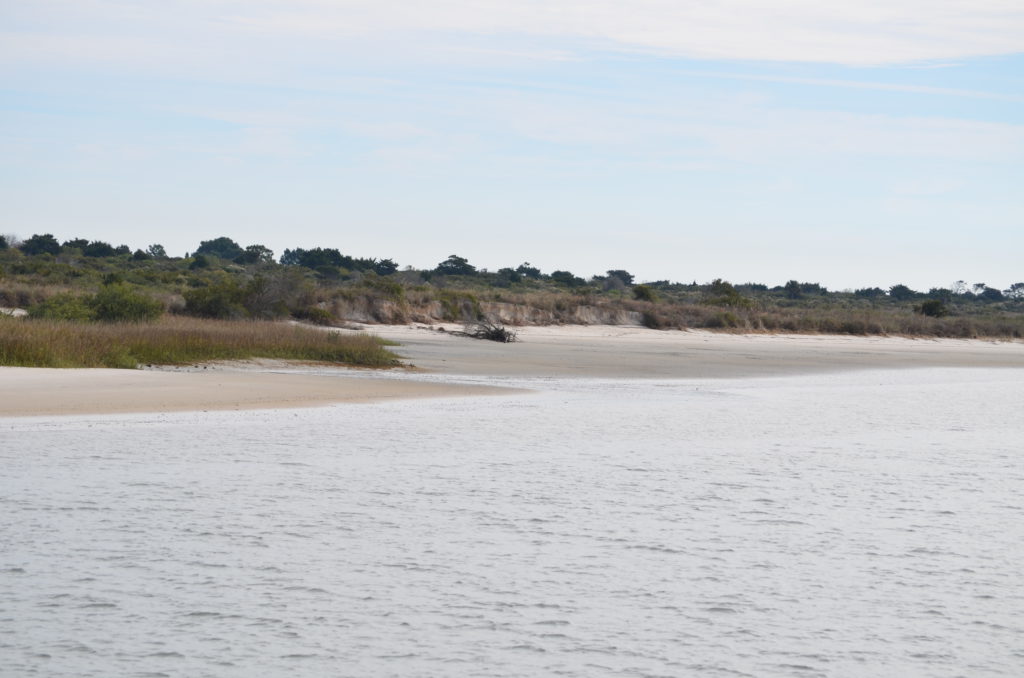 DSC_7262.JPG