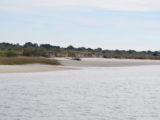 DSC_7262.JPG