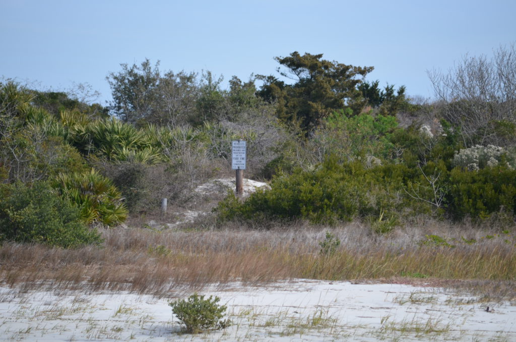 DSC_7263.JPG