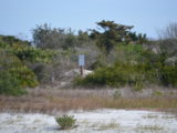 DSC_7263.JPG