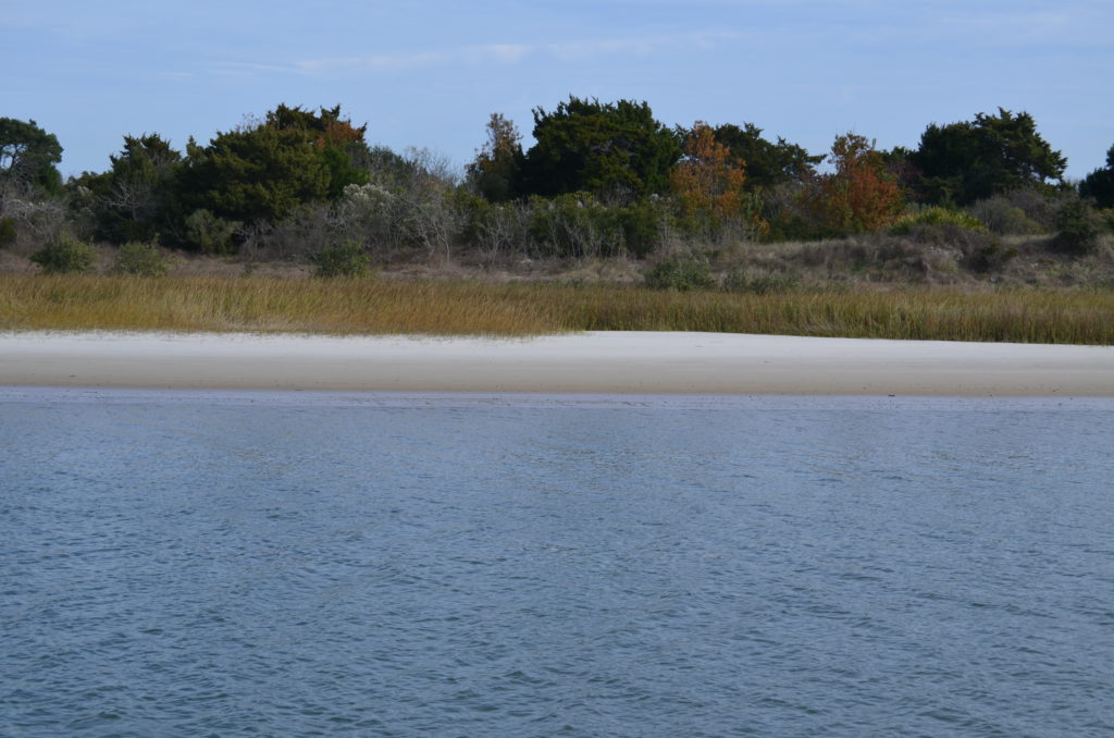 DSC_7264.JPG