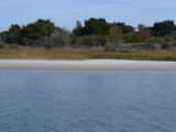 DSC_7264.JPG