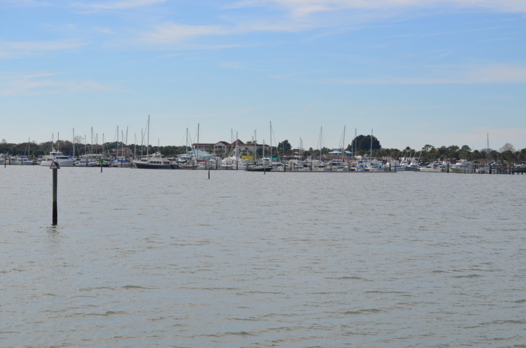 DSC_7266.JPG