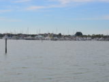 DSC_7266.JPG
