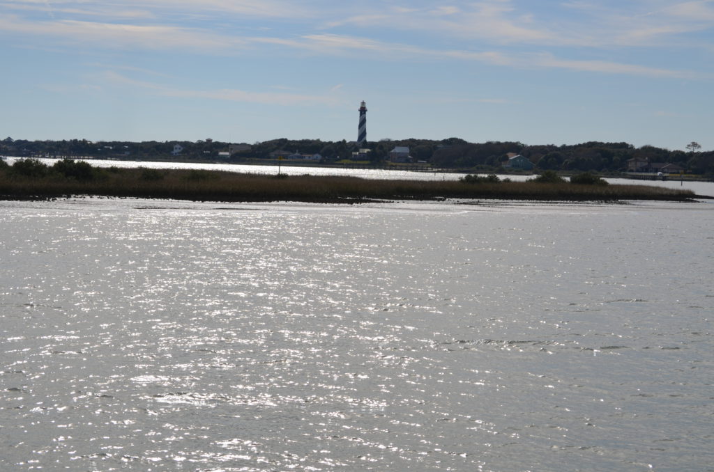 DSC_7267.JPG