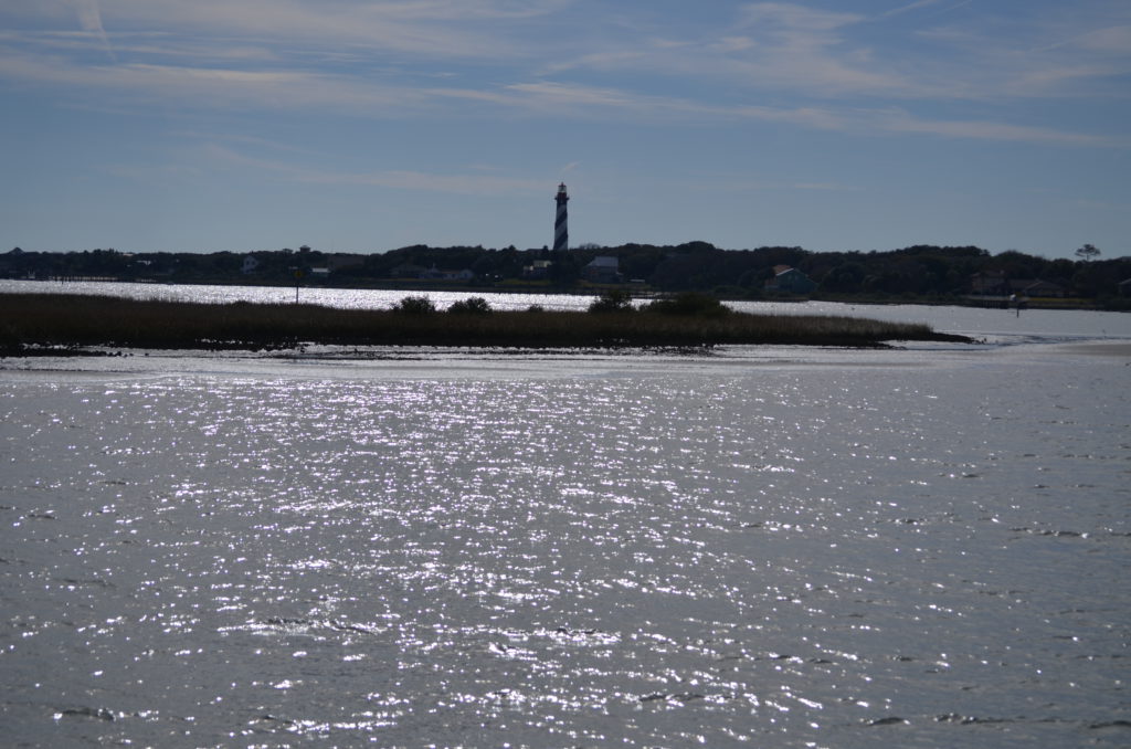 DSC_7272.JPG
