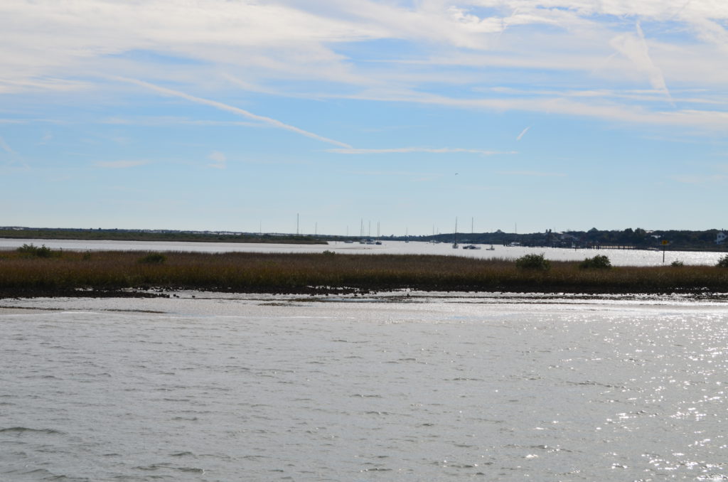 DSC_7273.JPG