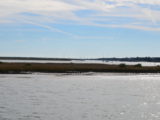 DSC_7273.JPG