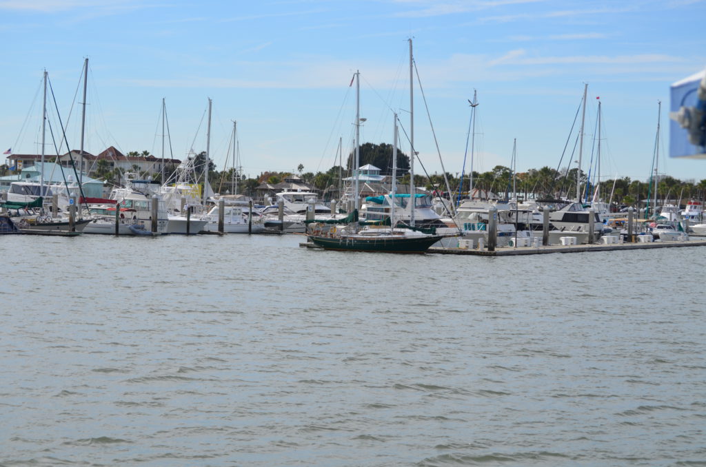 DSC_7276.JPG