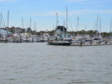 DSC_7276.JPG