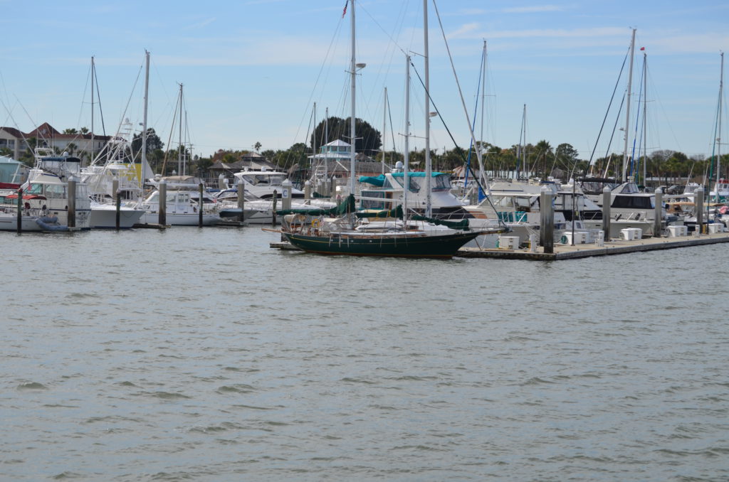 DSC_7277.JPG