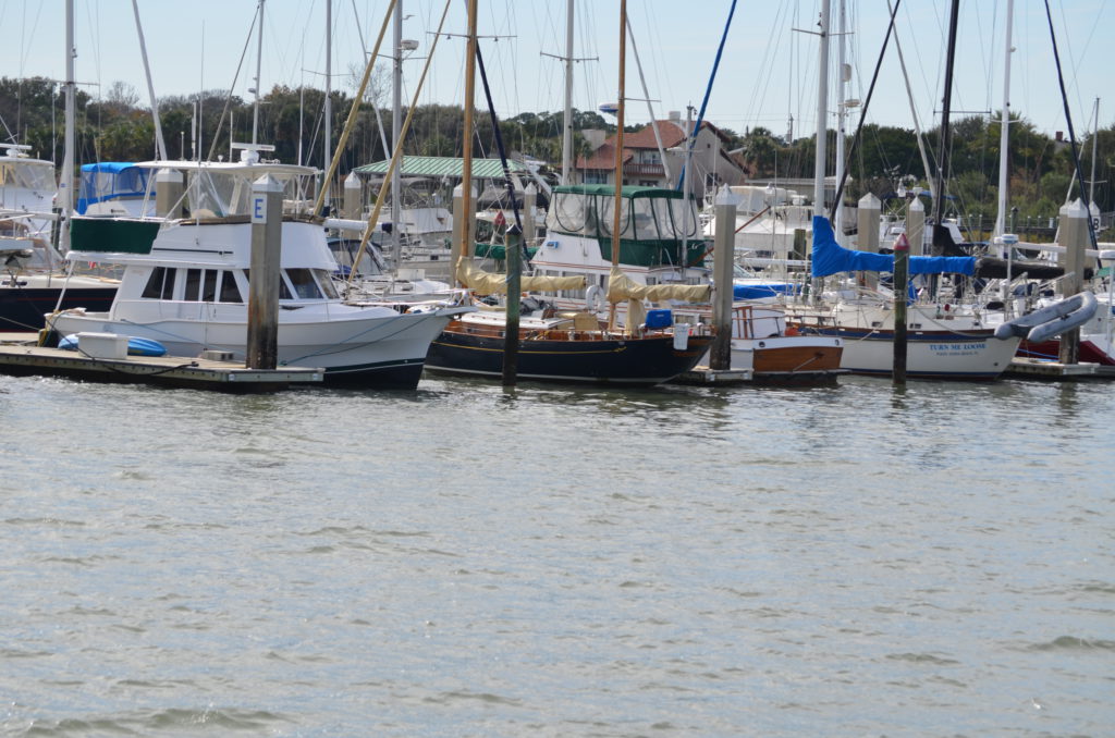DSC_7281.JPG
