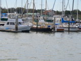 DSC_7281.JPG