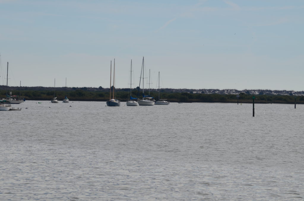 DSC_7285.JPG