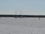 DSC_7285.JPG