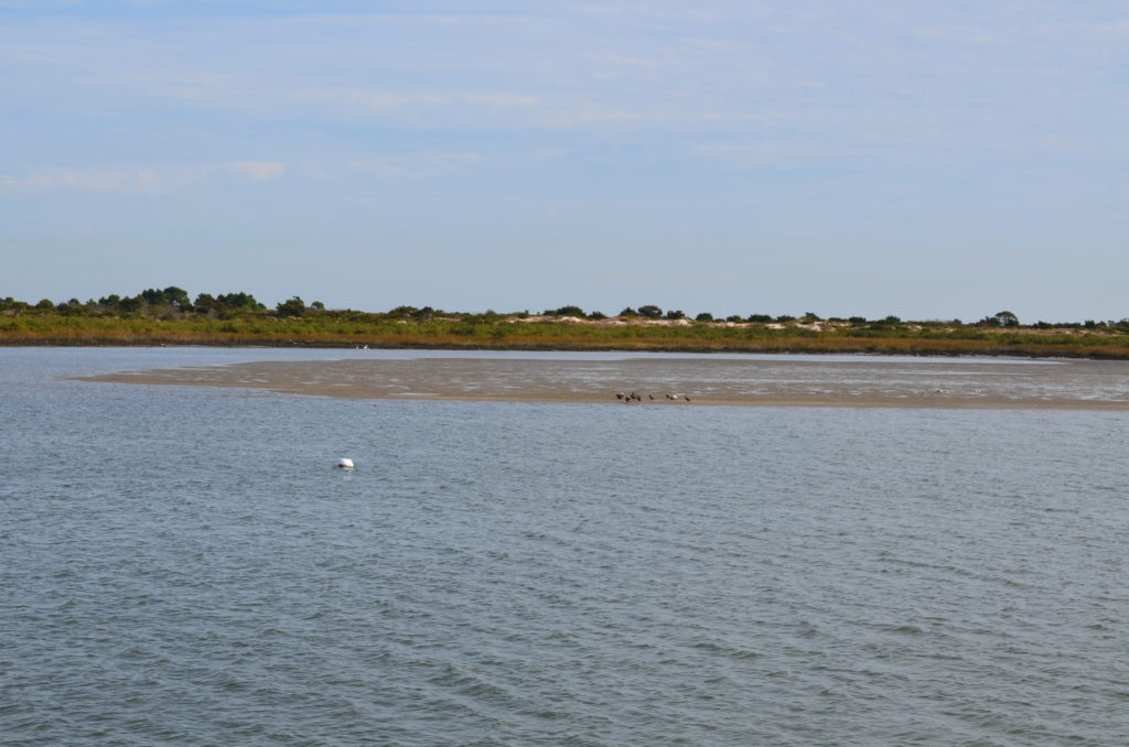 DSC_7286.JPG