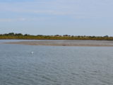 DSC_7286.JPG