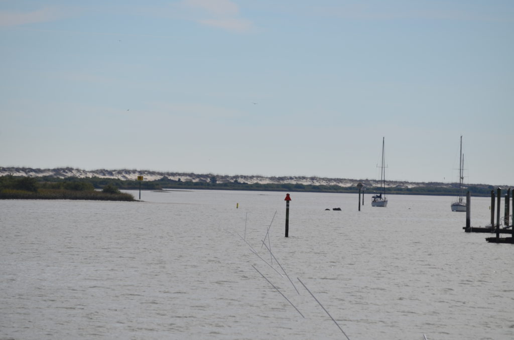 DSC_7292.JPG