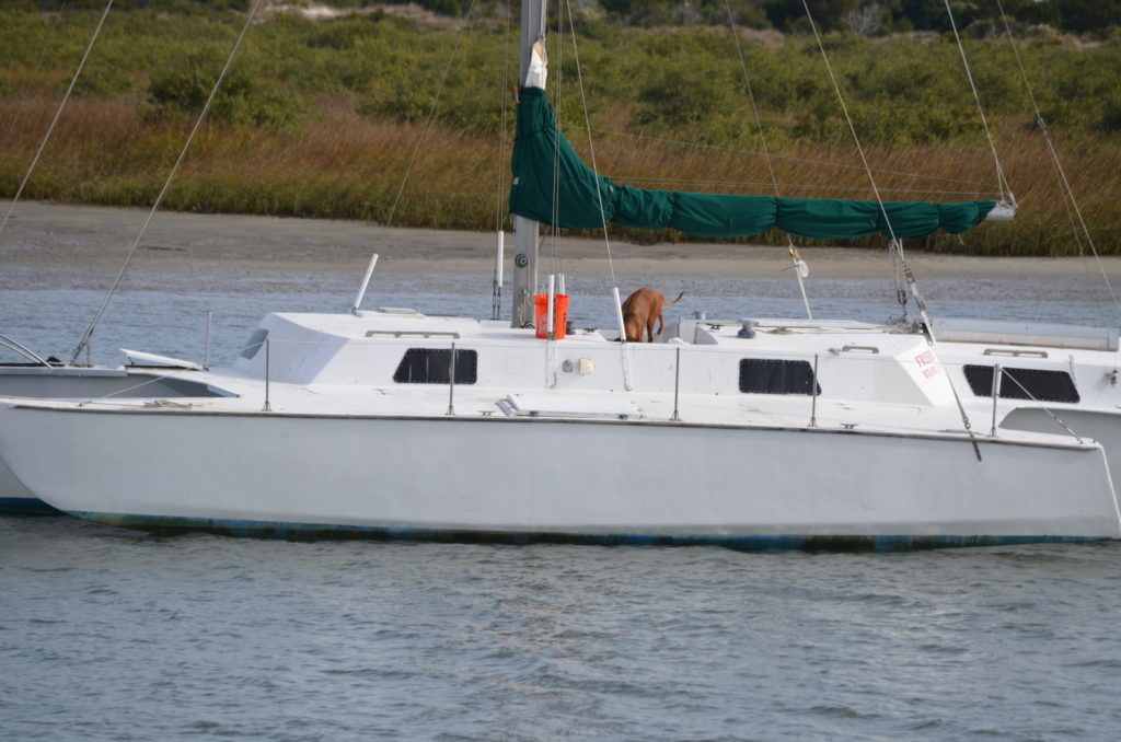 DSC_7293.JPG