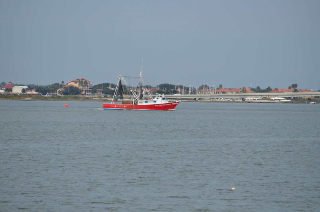 DSC_7296.JPG