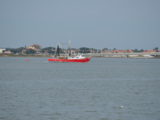 DSC_7296.JPG