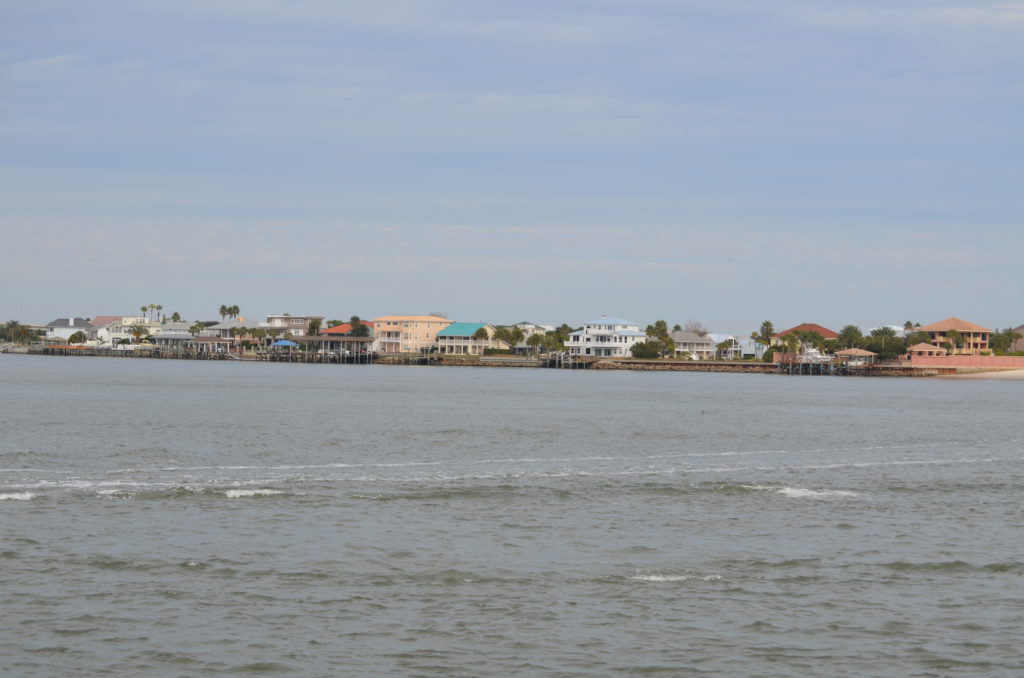 DSC_7298.JPG
