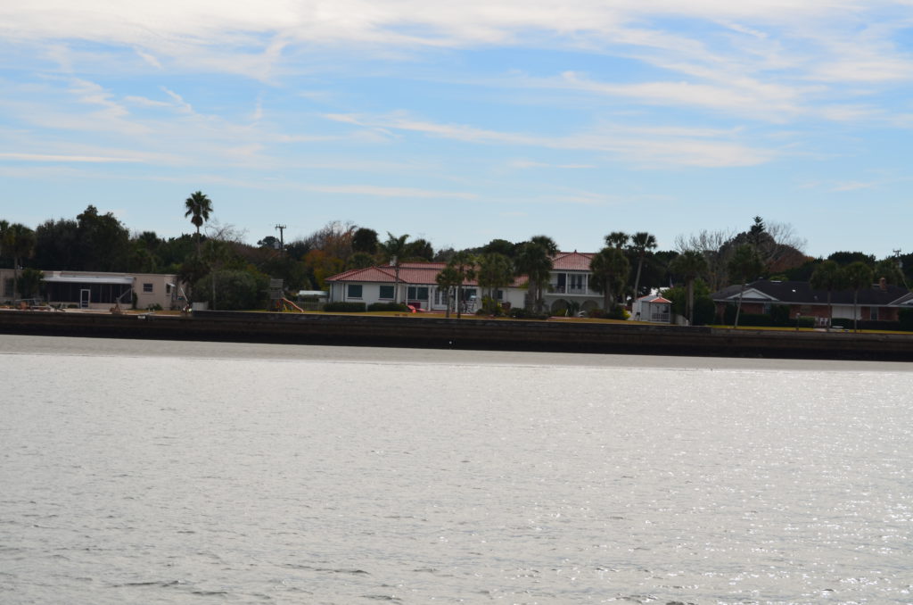 DSC_7308.JPG