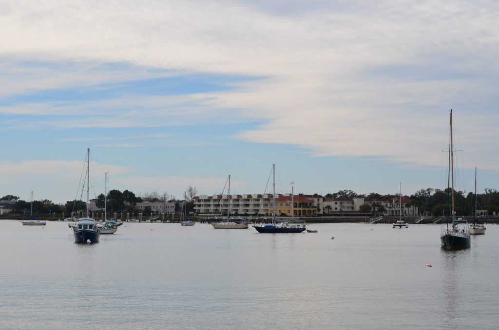 DSC_7323.JPG