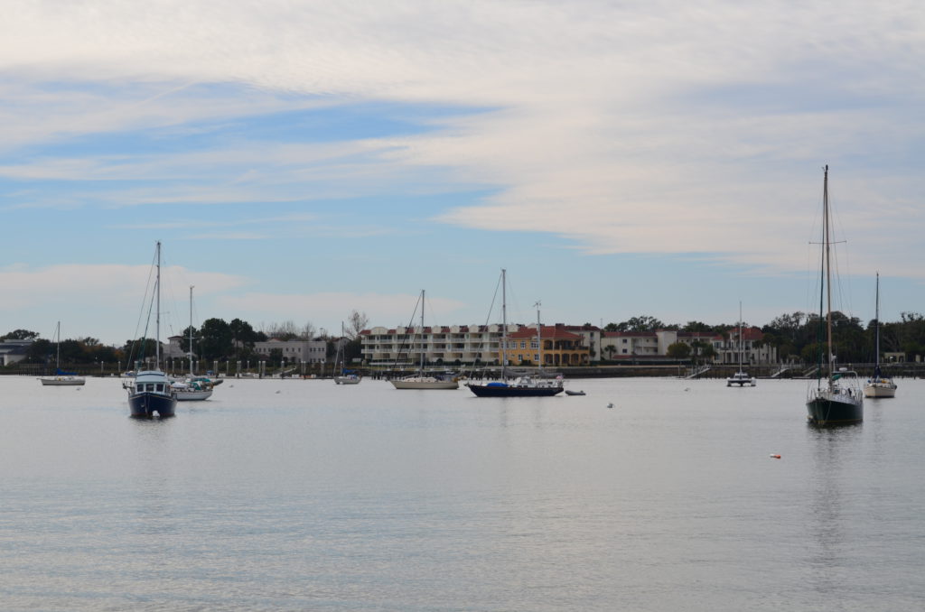 DSC_7324.JPG