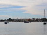 DSC_7324.JPG