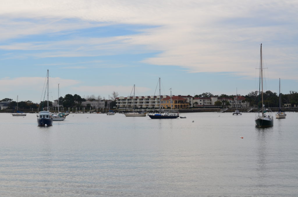 DSC_7325.JPG