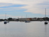 DSC_7325.JPG